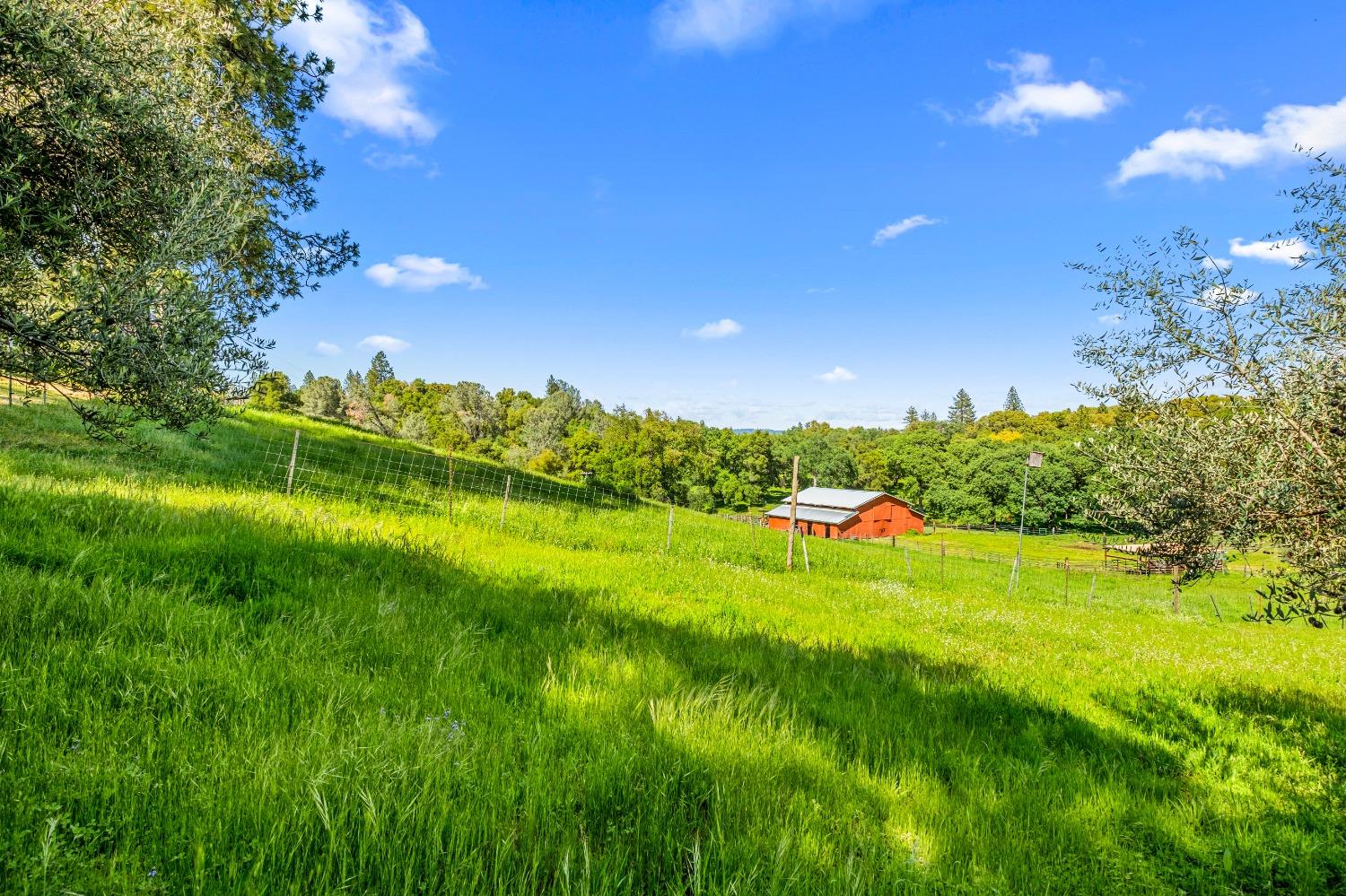 Detail Gallery Image 70 of 94 For 2575 Sand Ridge Rd, Placerville,  CA 95667 - 3 Beds | 2 Baths
