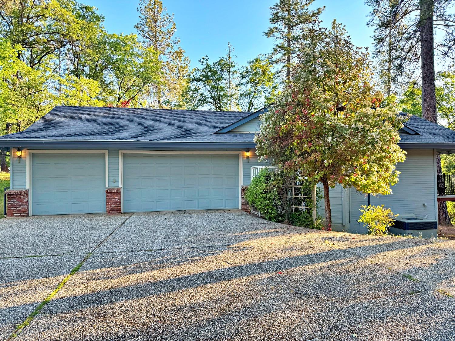Detail Gallery Image 52 of 57 For 3435 Old Ditch Dr, Placerville,  CA 95667 - 3 Beds | 3/1 Baths