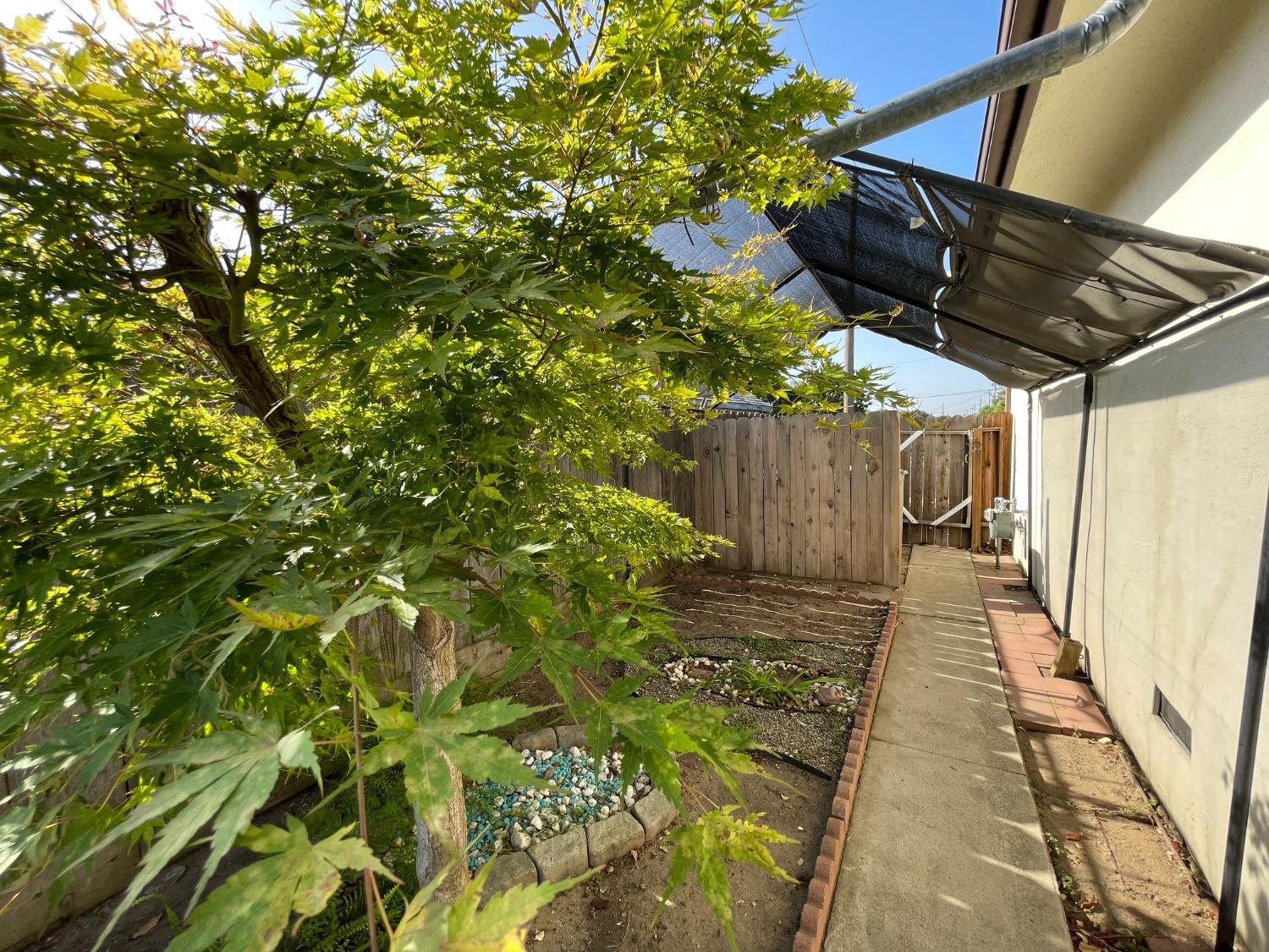 Argonaut Street, Manteca, California image 36