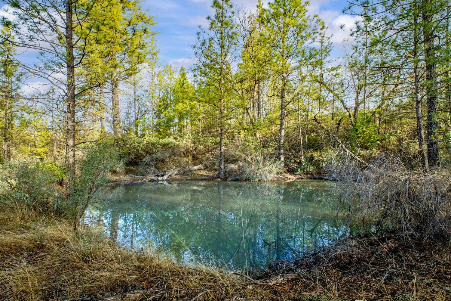 Deadmans Flat Road, Grass Valley, California image 25