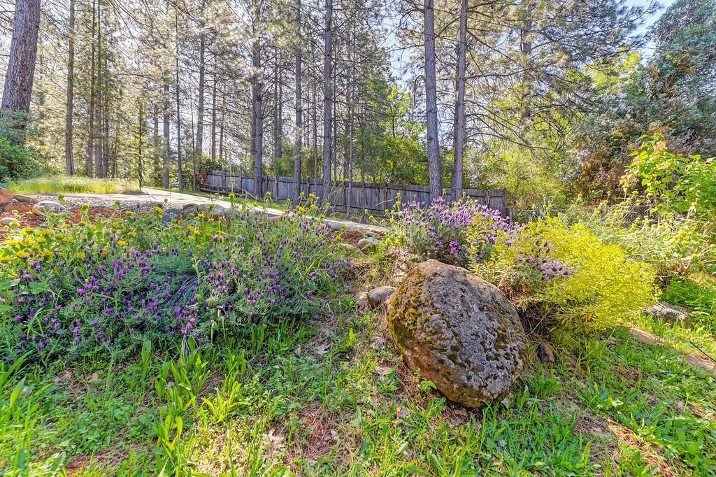 Detail Gallery Image 53 of 54 For 21855 Digger Pine Ln, Colfax,  CA 95713 - 3 Beds | 2 Baths