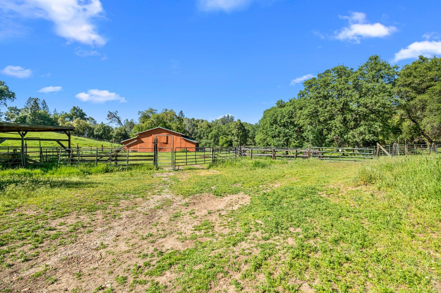 Detail Gallery Image 73 of 94 For 2575 Sand Ridge Rd, Placerville,  CA 95667 - 3 Beds | 2 Baths