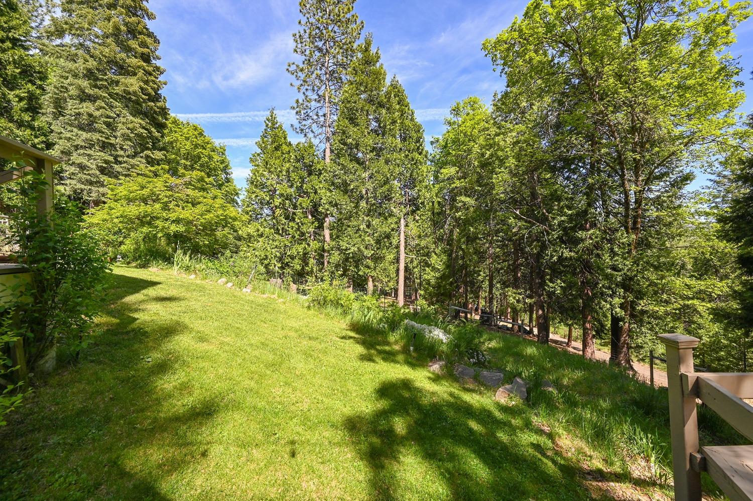 Dio Linda Court, Pollock Pines, California image 16