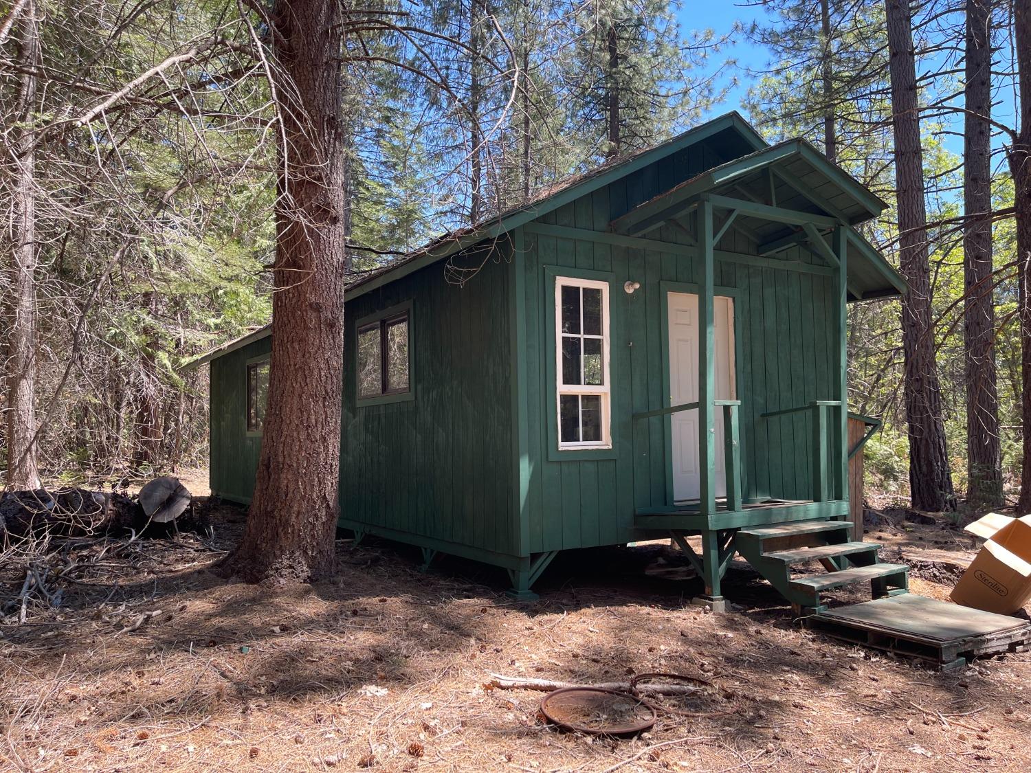 Detail Gallery Image 33 of 46 For 31001 Big Dipper, Colfax,  CA 95713 - – Beds | – Baths