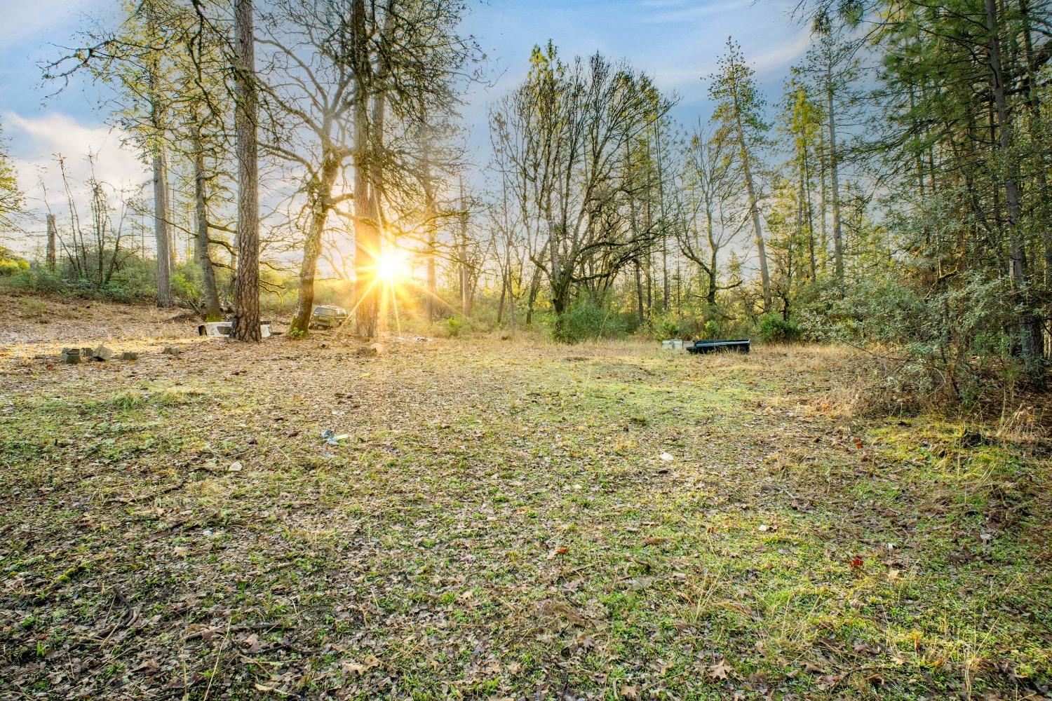 Deadmans Flat Road, Grass Valley, California image 2