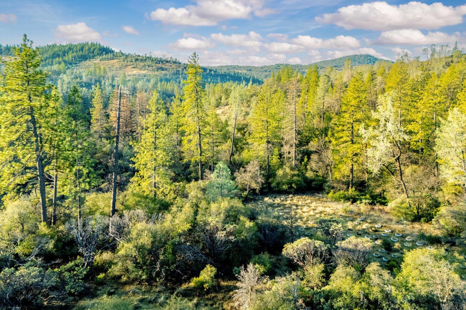 Deadmans Flat Road, Grass Valley, California image 28