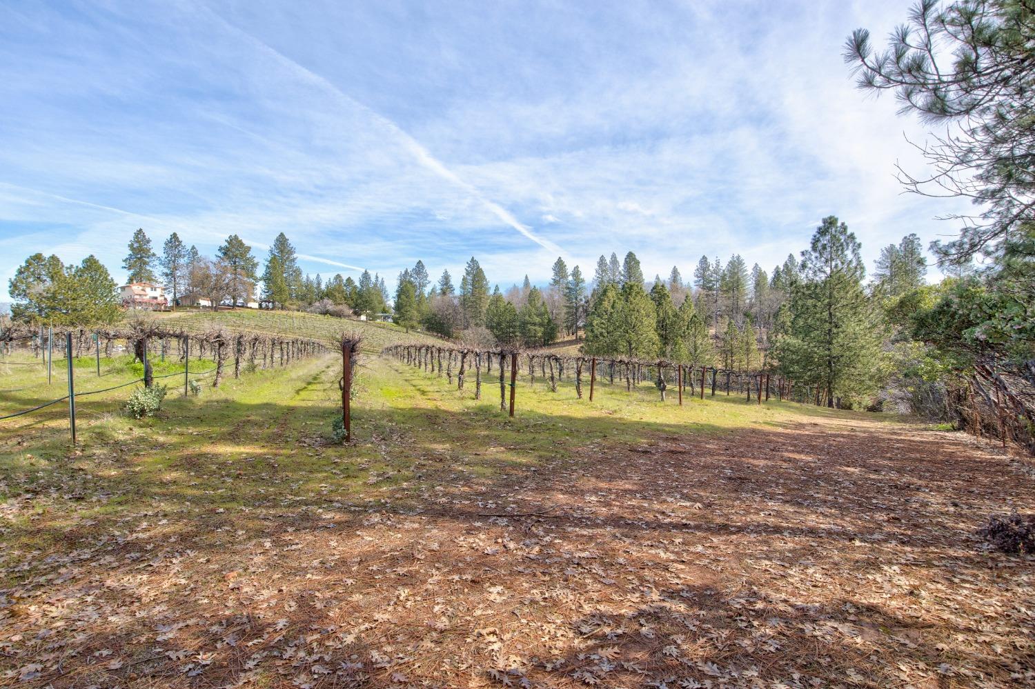 Detail Gallery Image 59 of 71 For 4771 Greenhills Rd, Placerville,  CA 95667 - – Beds | – Baths