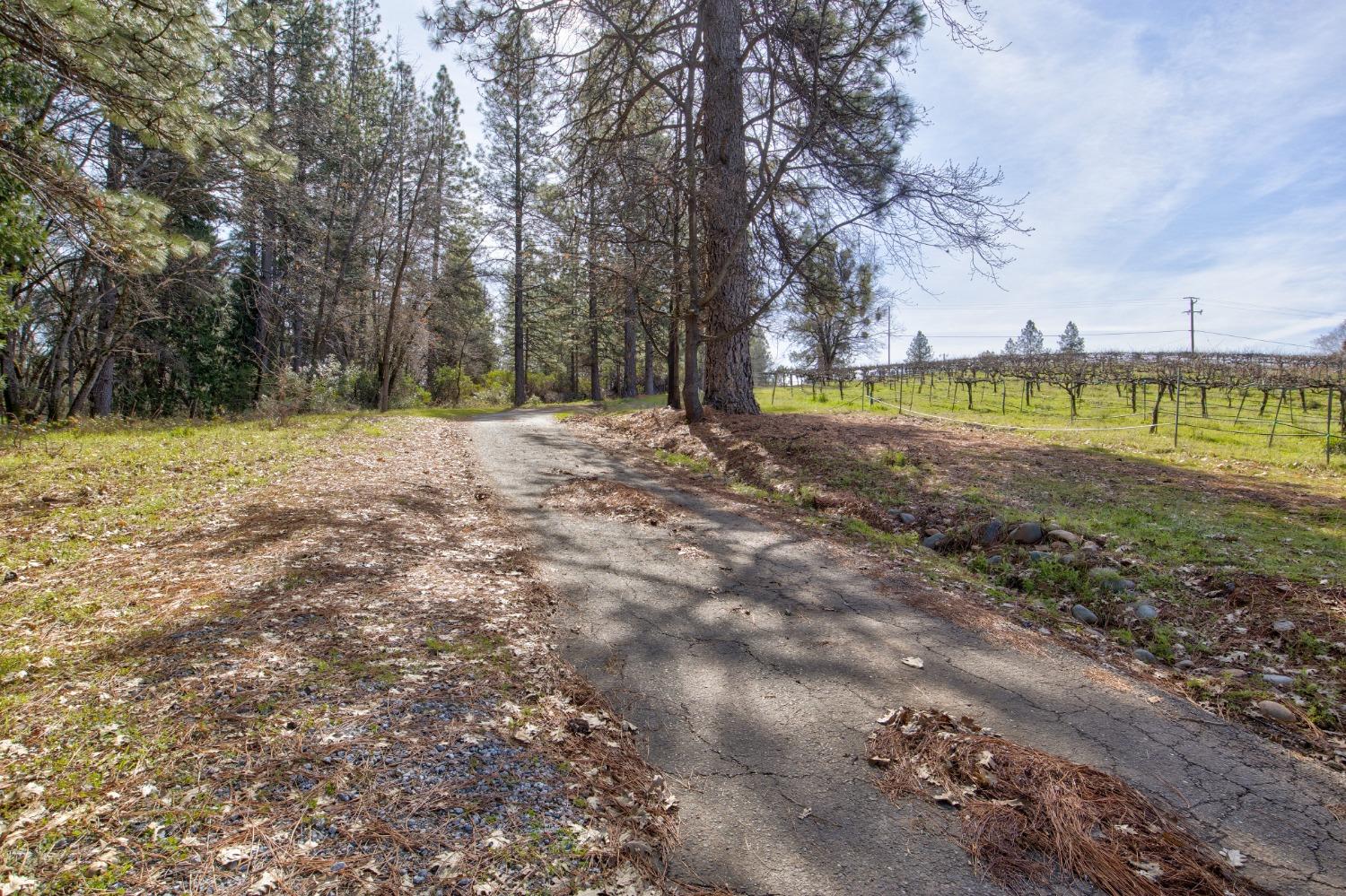 Detail Gallery Image 44 of 71 For 4771 Greenhills Rd, Placerville,  CA 95667 - – Beds | – Baths