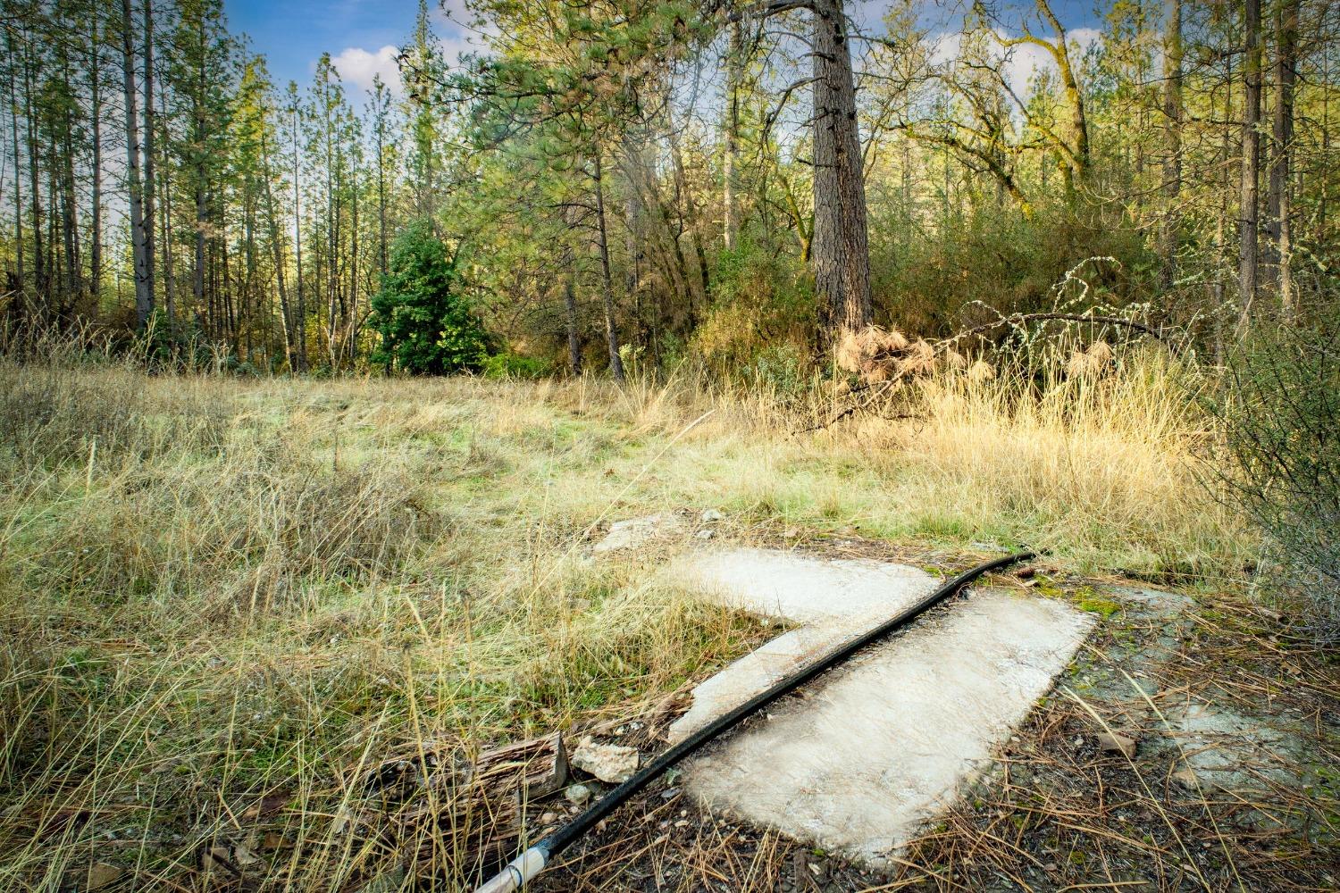 Deadmans Flat Road, Grass Valley, California image 24