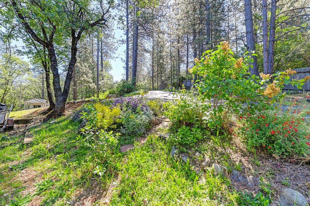 Detail Gallery Image 49 of 54 For 21855 Digger Pine Ln, Colfax,  CA 95713 - 3 Beds | 2 Baths