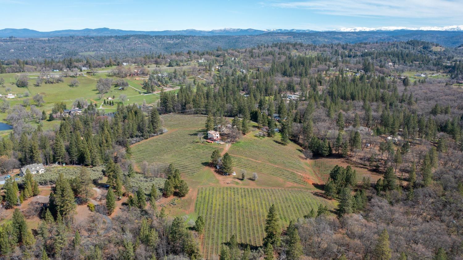 Detail Gallery Image 61 of 71 For 4771 Greenhills Rd, Placerville,  CA 95667 - – Beds | – Baths
