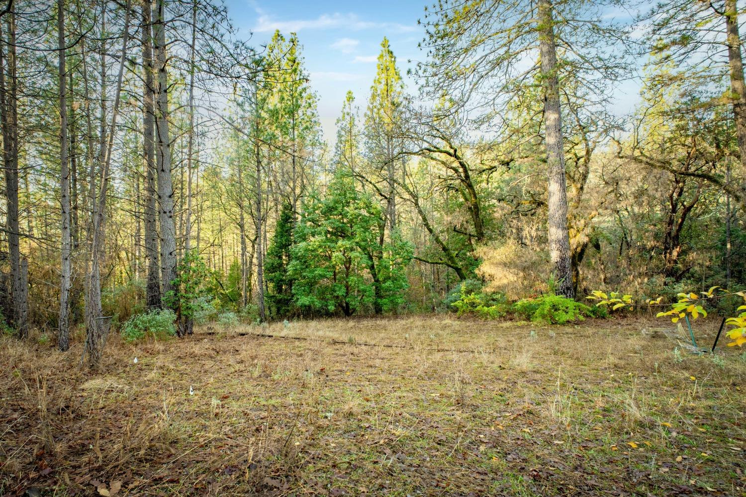 Deadmans Flat Road, Grass Valley, California image 9
