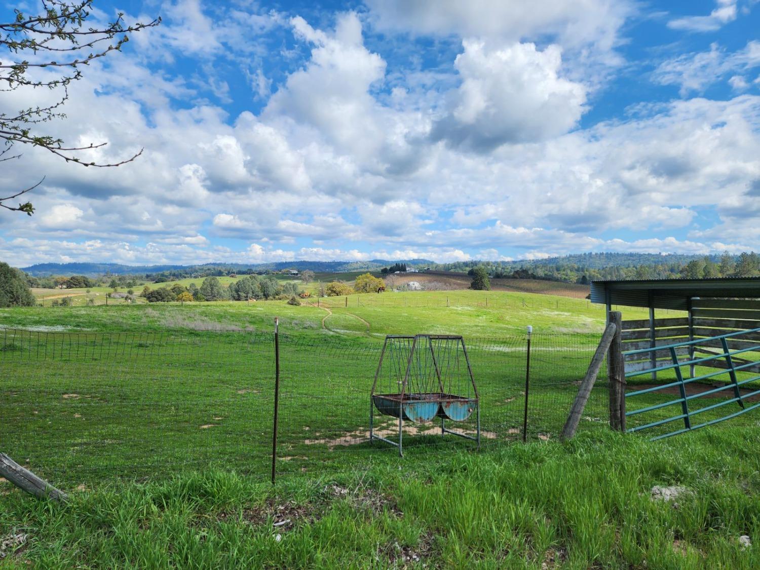 Detail Gallery Image 88 of 96 For 3081 Little Spur, Somerset,  CA 95684 - 3 Beds | 2 Baths