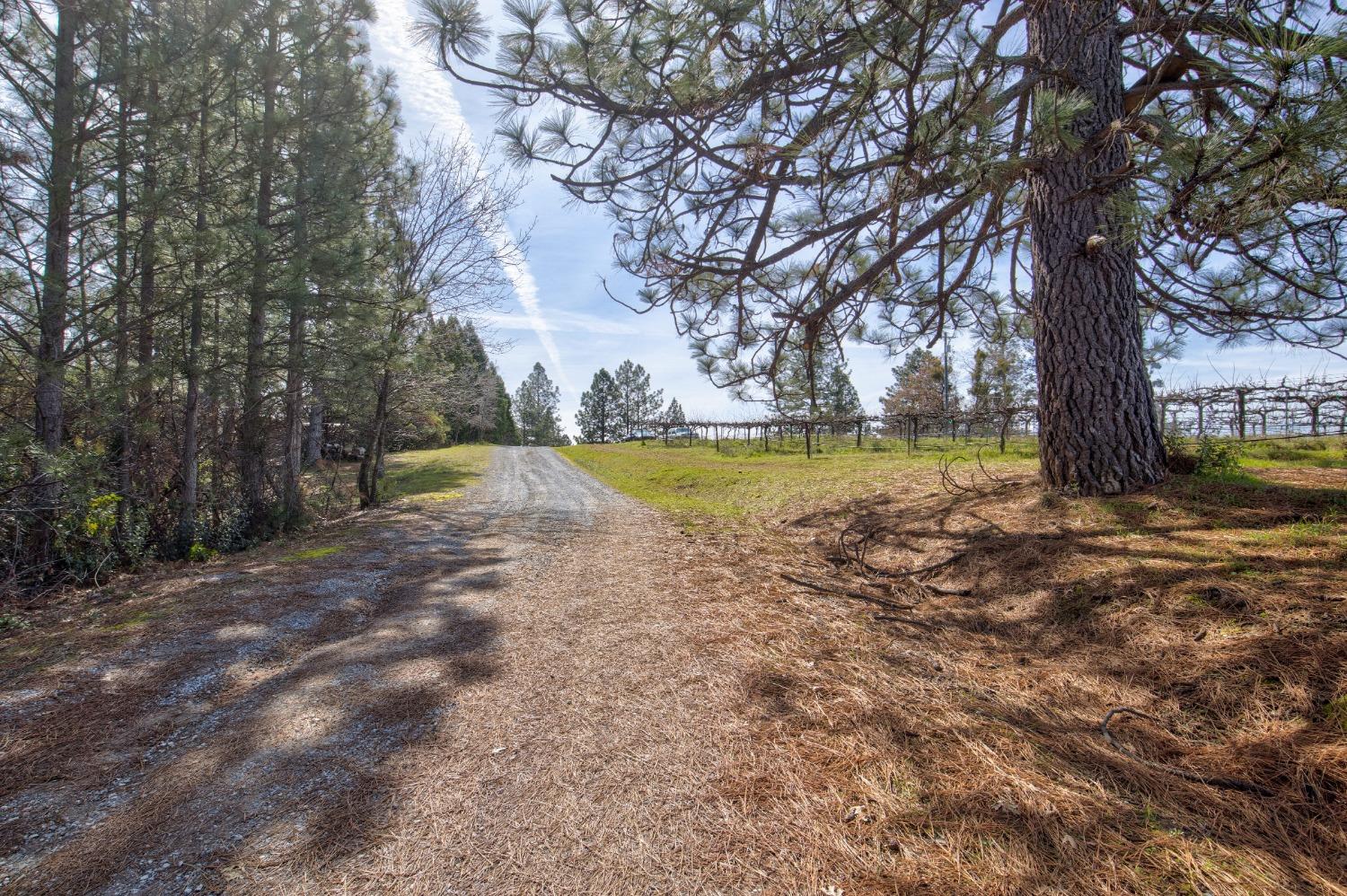 Detail Gallery Image 45 of 71 For 4771 Greenhills Rd, Placerville,  CA 95667 - – Beds | – Baths