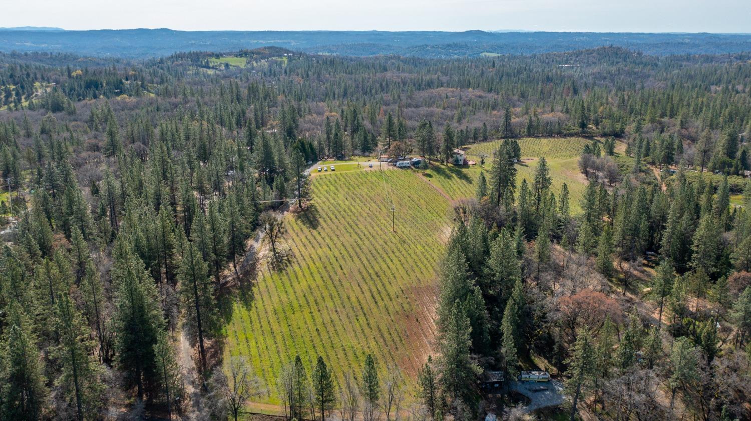 Detail Gallery Image 63 of 71 For 4771 Greenhills Rd, Placerville,  CA 95667 - – Beds | – Baths