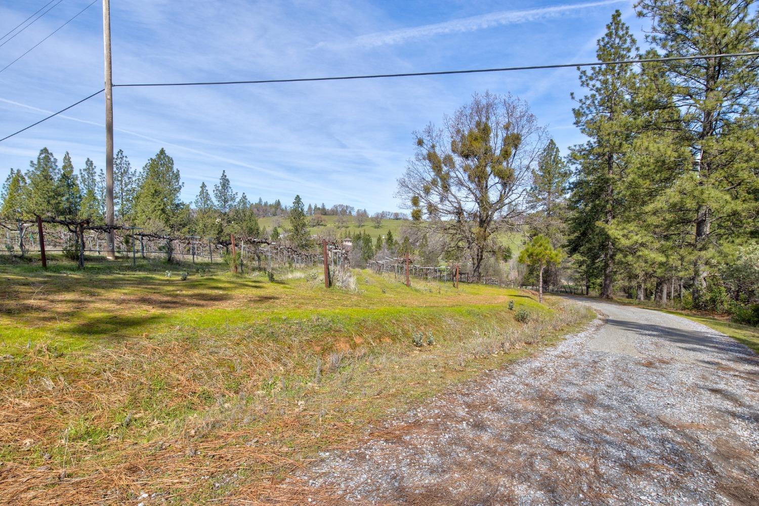 Detail Gallery Image 46 of 71 For 4771 Greenhills Rd, Placerville,  CA 95667 - – Beds | – Baths