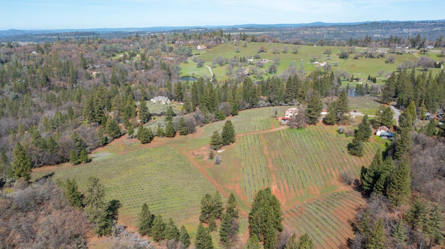 Detail Gallery Image 67 of 71 For 4771 Greenhills Rd, Placerville,  CA 95667 - – Beds | – Baths