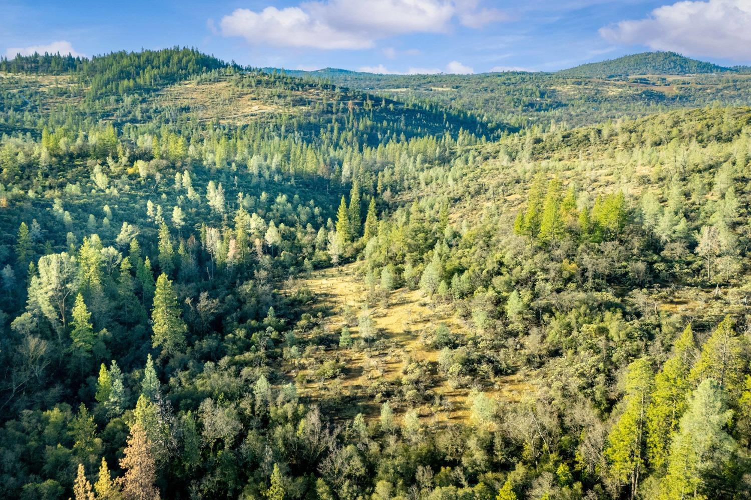 Deadmans Flat Road, Grass Valley, California image 29