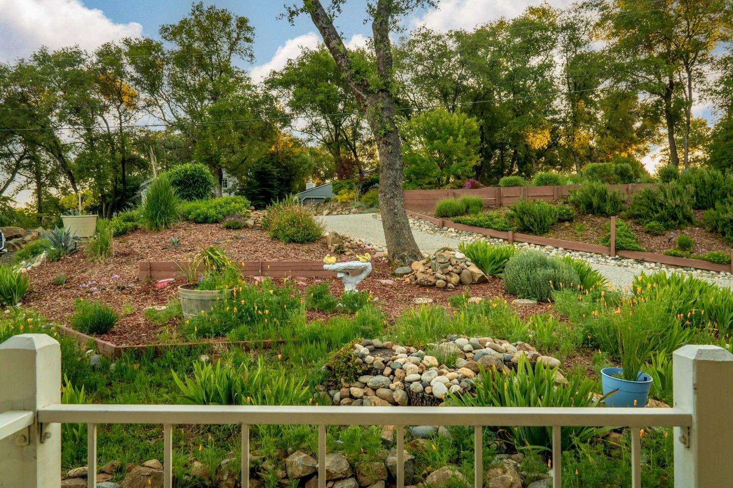 Detail Gallery Image 12 of 54 For 20029 Echo Blue Dr, Penn Valley,  CA 95946 - 3 Beds | 2 Baths