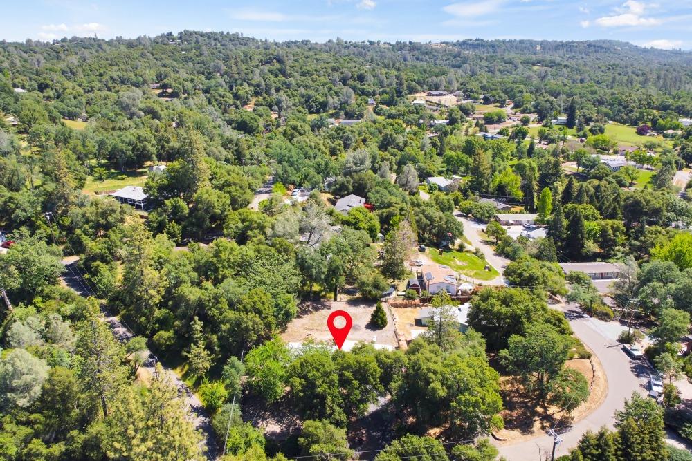 Bridgeview Drive, Placerville, California image 34