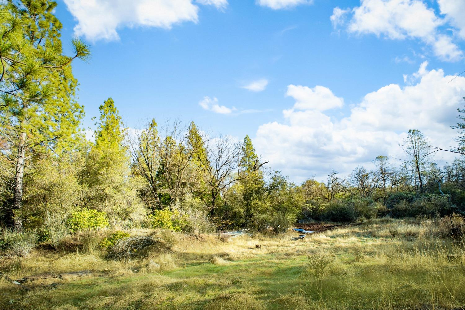 Deadmans Flat Road, Grass Valley, California image 8