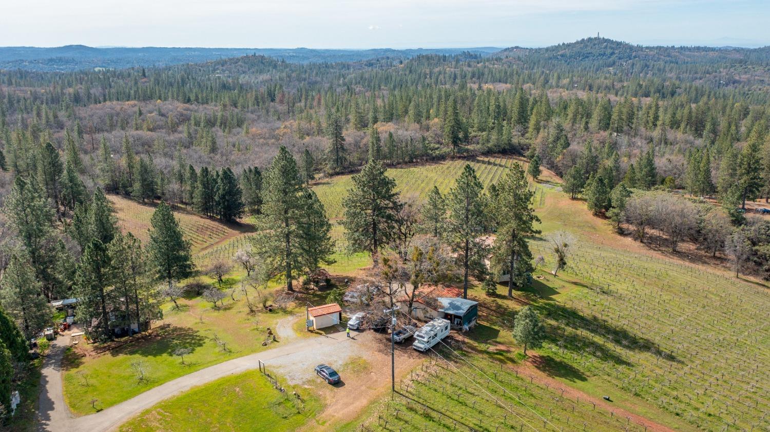 Detail Gallery Image 65 of 71 For 4771 Greenhills Rd, Placerville,  CA 95667 - – Beds | – Baths