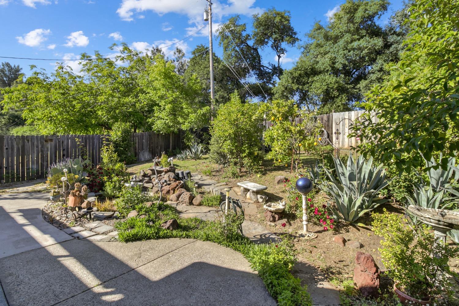 Hampton Lane, Cameron Park, California image 40