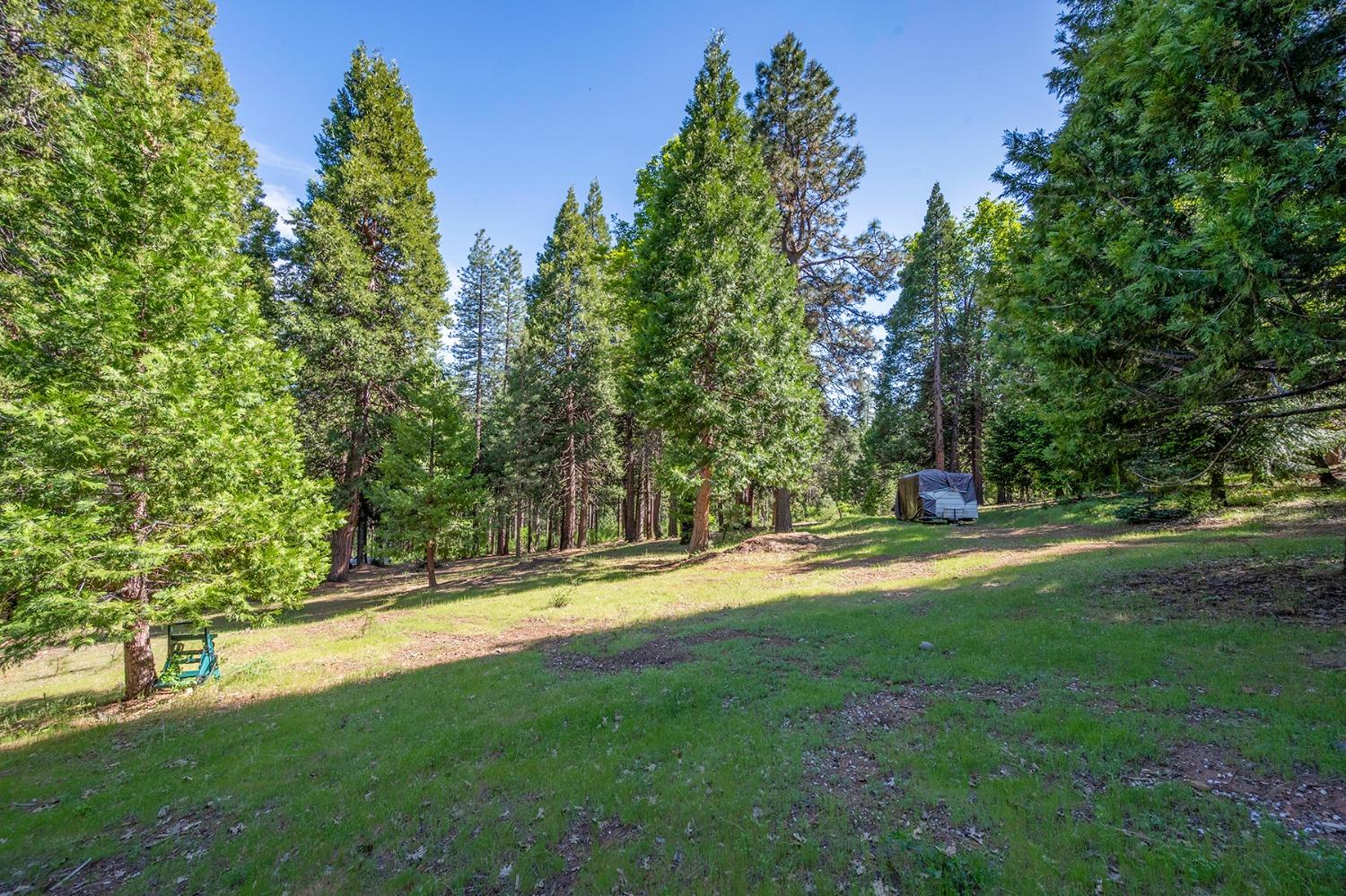 Dio Linda Court, Pollock Pines, California image 36