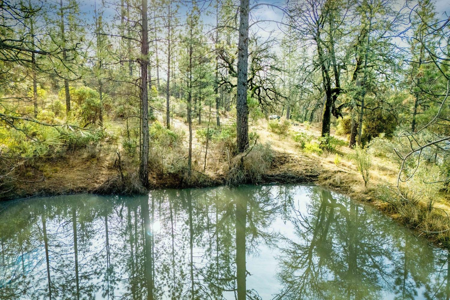 Deadmans Flat Road, Grass Valley, California image 26