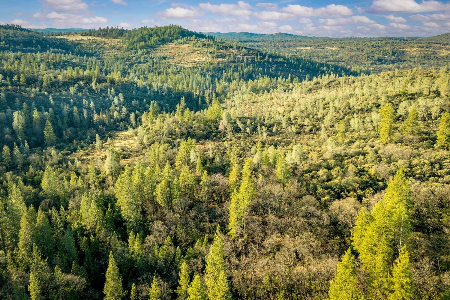 Deadmans Flat Road, Grass Valley, California image 14