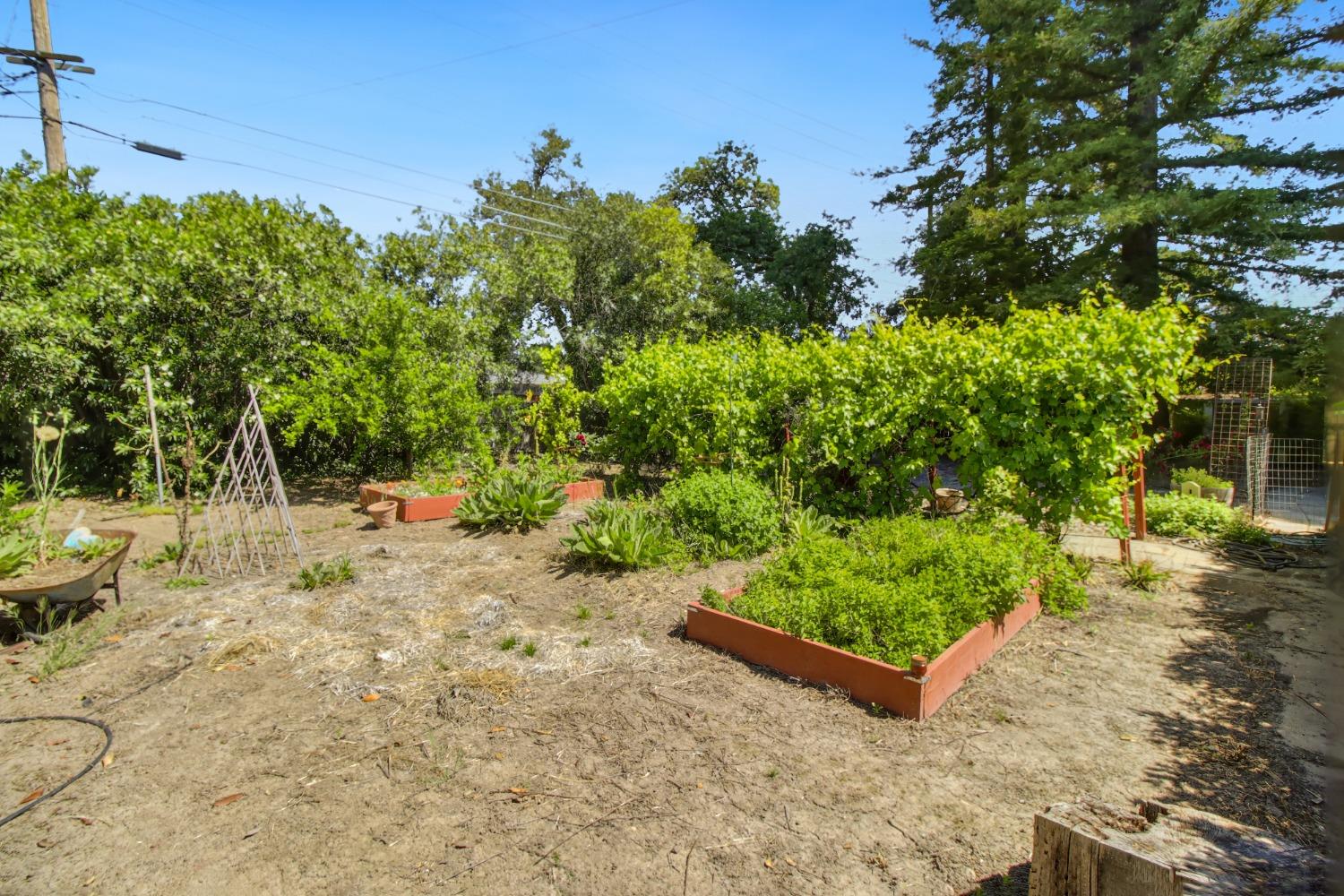 Detail Gallery Image 64 of 73 For 1837 Drew Ct, Carmichael,  CA 95608 - 4 Beds | 2 Baths