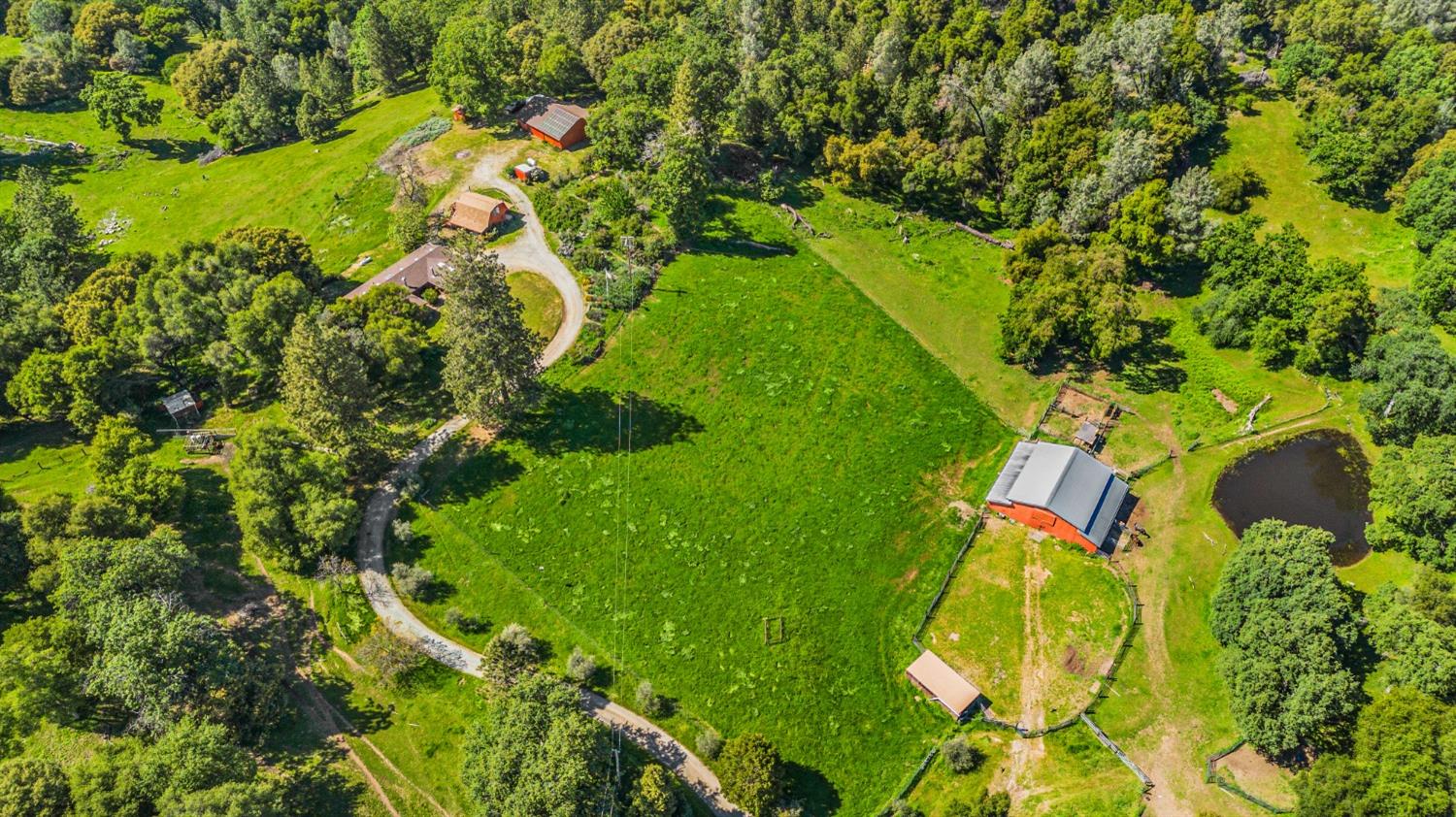 Detail Gallery Image 85 of 94 For 2575 Sand Ridge Rd, Placerville,  CA 95667 - 3 Beds | 2 Baths
