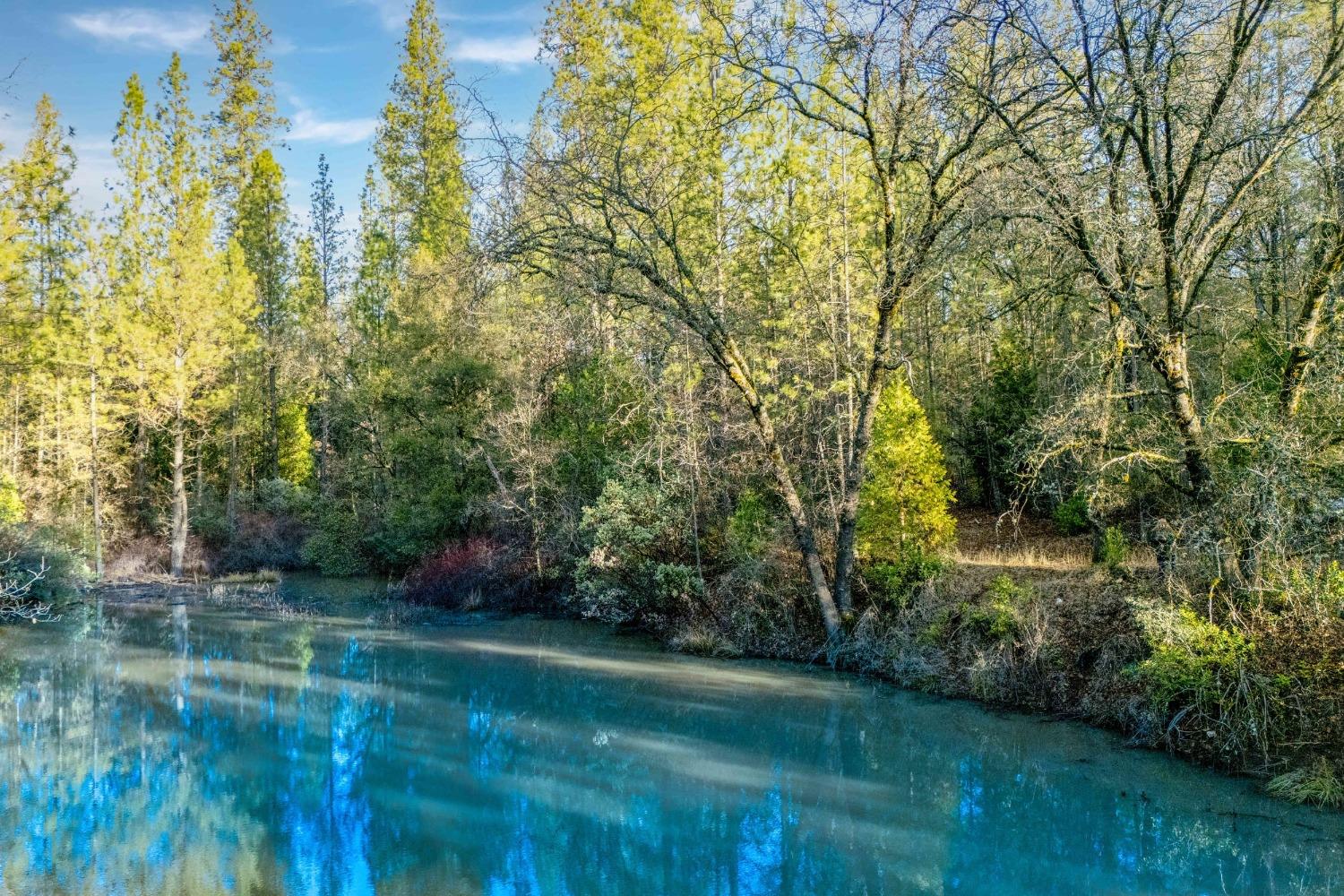 Deadmans Flat Road, Grass Valley, California image 13