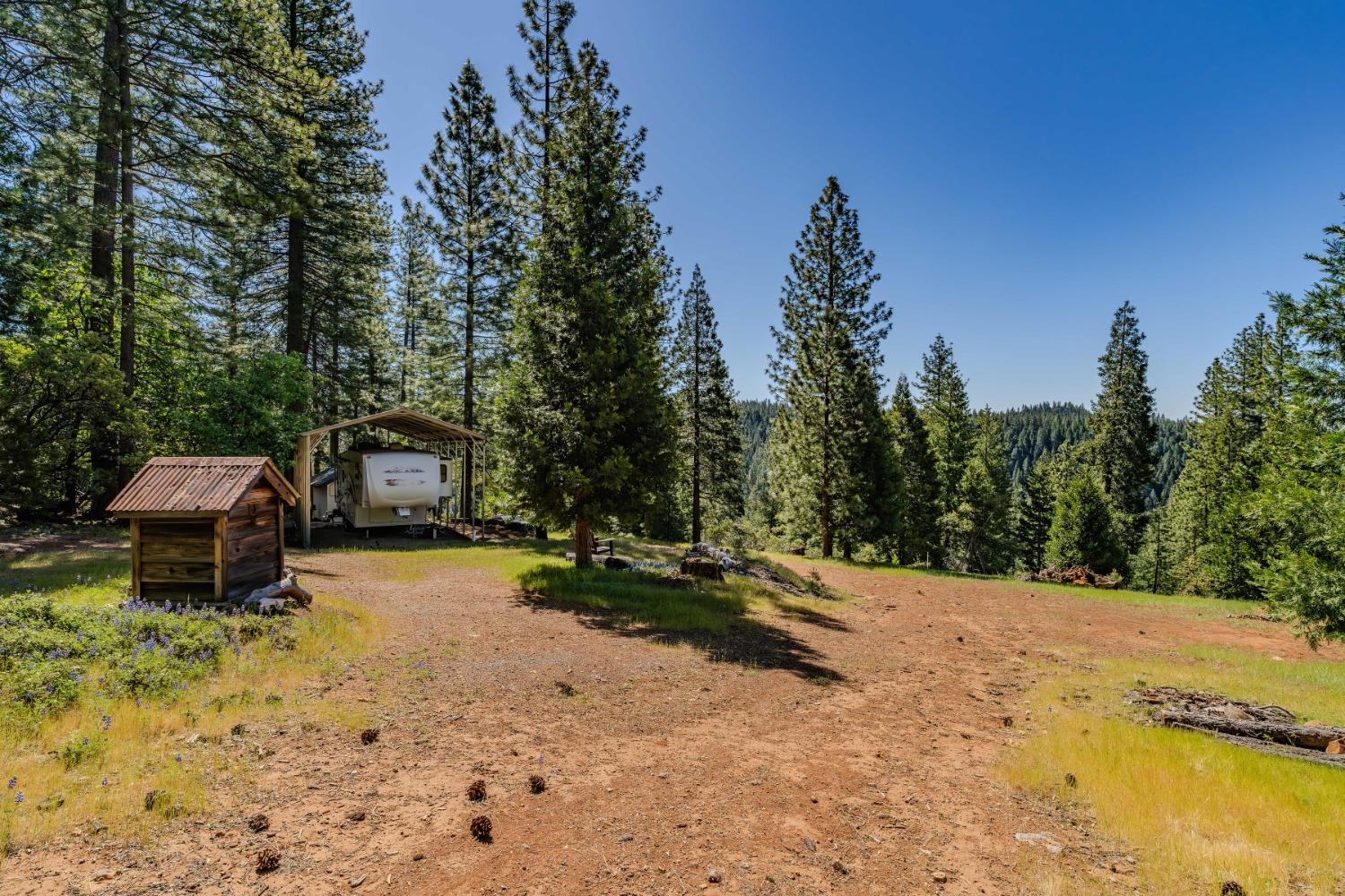 Detail Gallery Image 5 of 49 For 26340 Cedar Ave, Pioneer,  CA 95666 - – Beds | – Baths