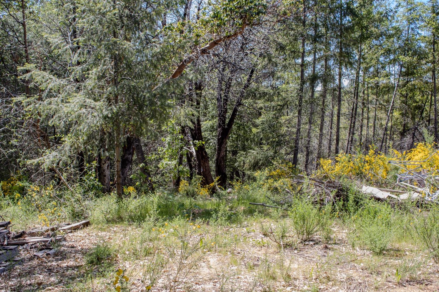 Detail Gallery Image 93 of 96 For 5734 Wilder Rd, Georgetown,  CA 95634 - – Beds | – Baths