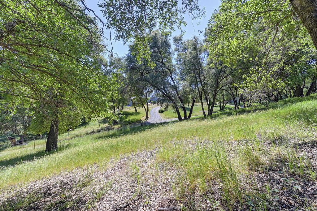 Detail Gallery Image 11 of 74 For 5400 Genney Ln, El Dorado,  CA 95623 - 3 Beds | 2 Baths