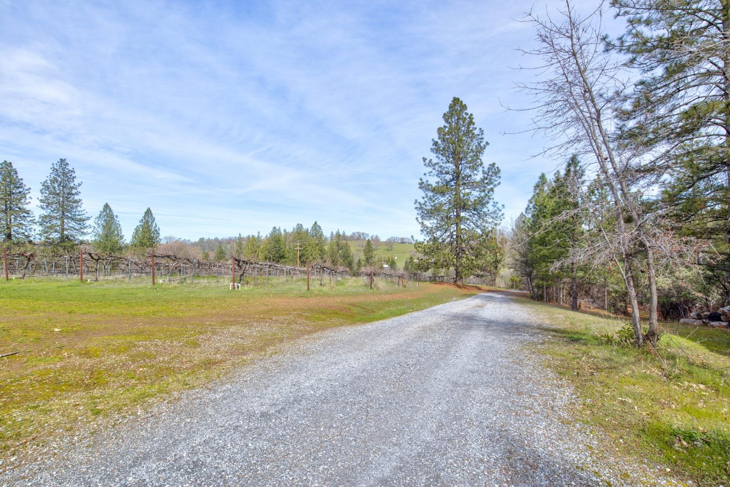 Detail Gallery Image 47 of 71 For 4771 Greenhills Rd, Placerville,  CA 95667 - – Beds | – Baths