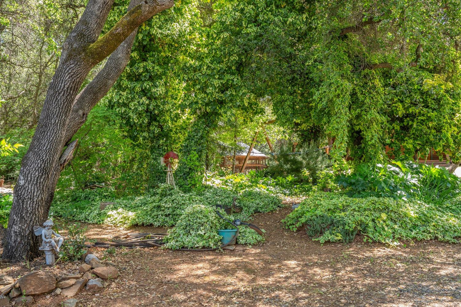 Detail Gallery Image 61 of 67 For 4651 Pilot Creek Ln, Pilot Hill,  CA 95664 - 3 Beds | 2 Baths