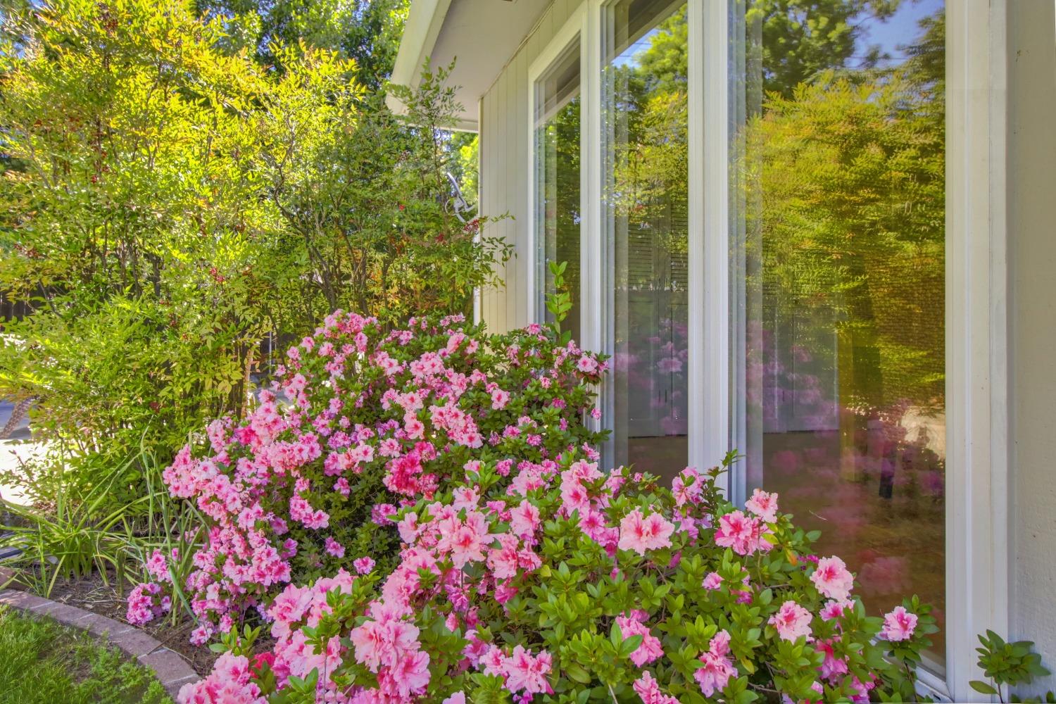 Detail Gallery Image 70 of 73 For 1837 Drew Ct, Carmichael,  CA 95608 - 4 Beds | 2 Baths