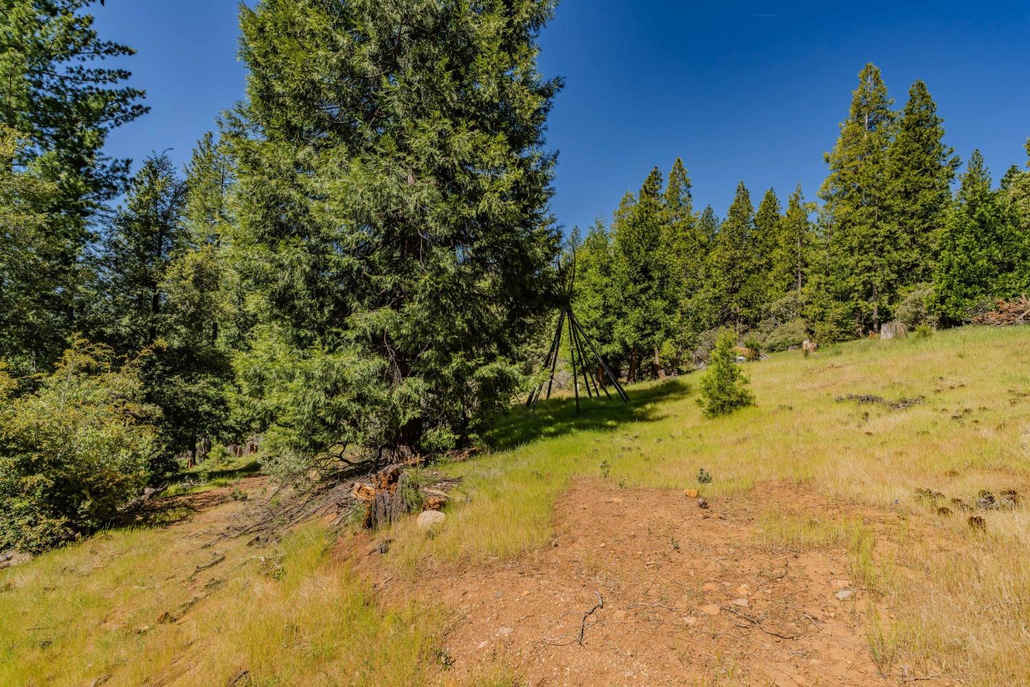 Detail Gallery Image 24 of 49 For 26340 Cedar Ave, Pioneer,  CA 95666 - – Beds | – Baths