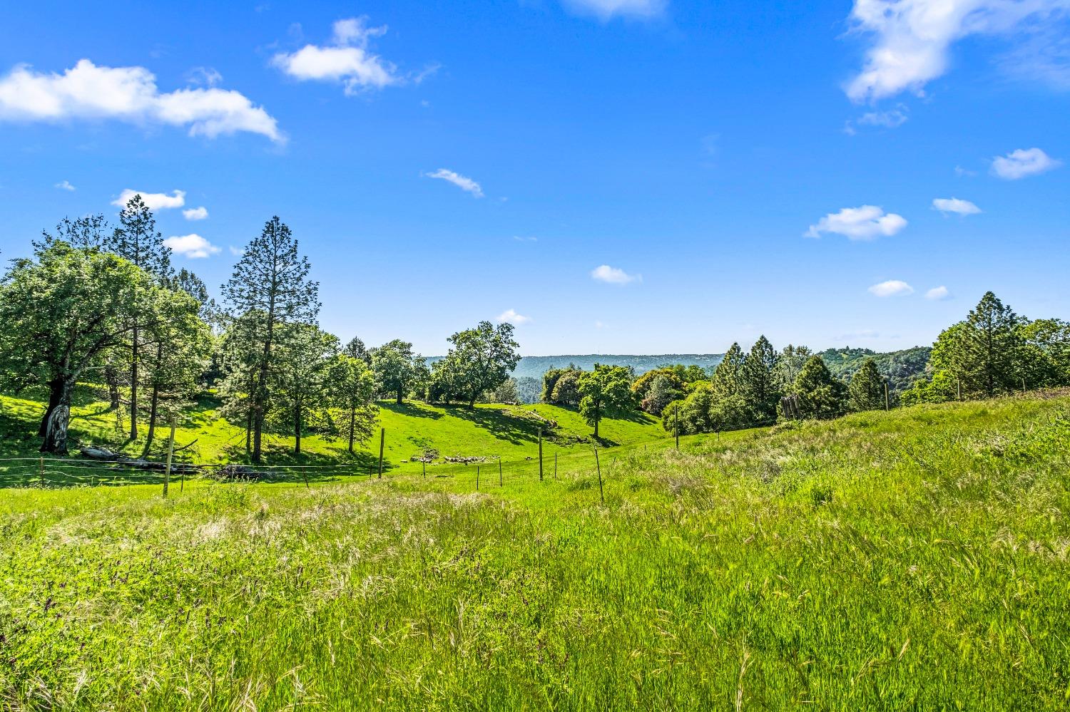 Detail Gallery Image 51 of 94 For 2575 Sand Ridge Rd, Placerville,  CA 95667 - 3 Beds | 2 Baths