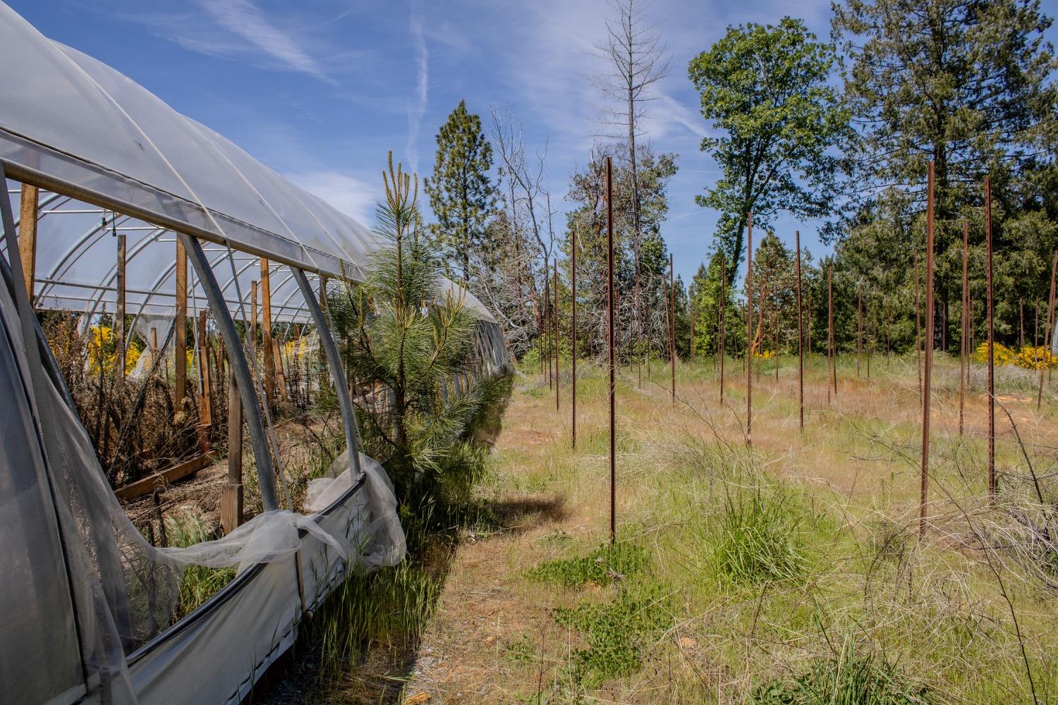 Detail Gallery Image 51 of 96 For 5734 Wilder Rd, Georgetown,  CA 95634 - – Beds | – Baths
