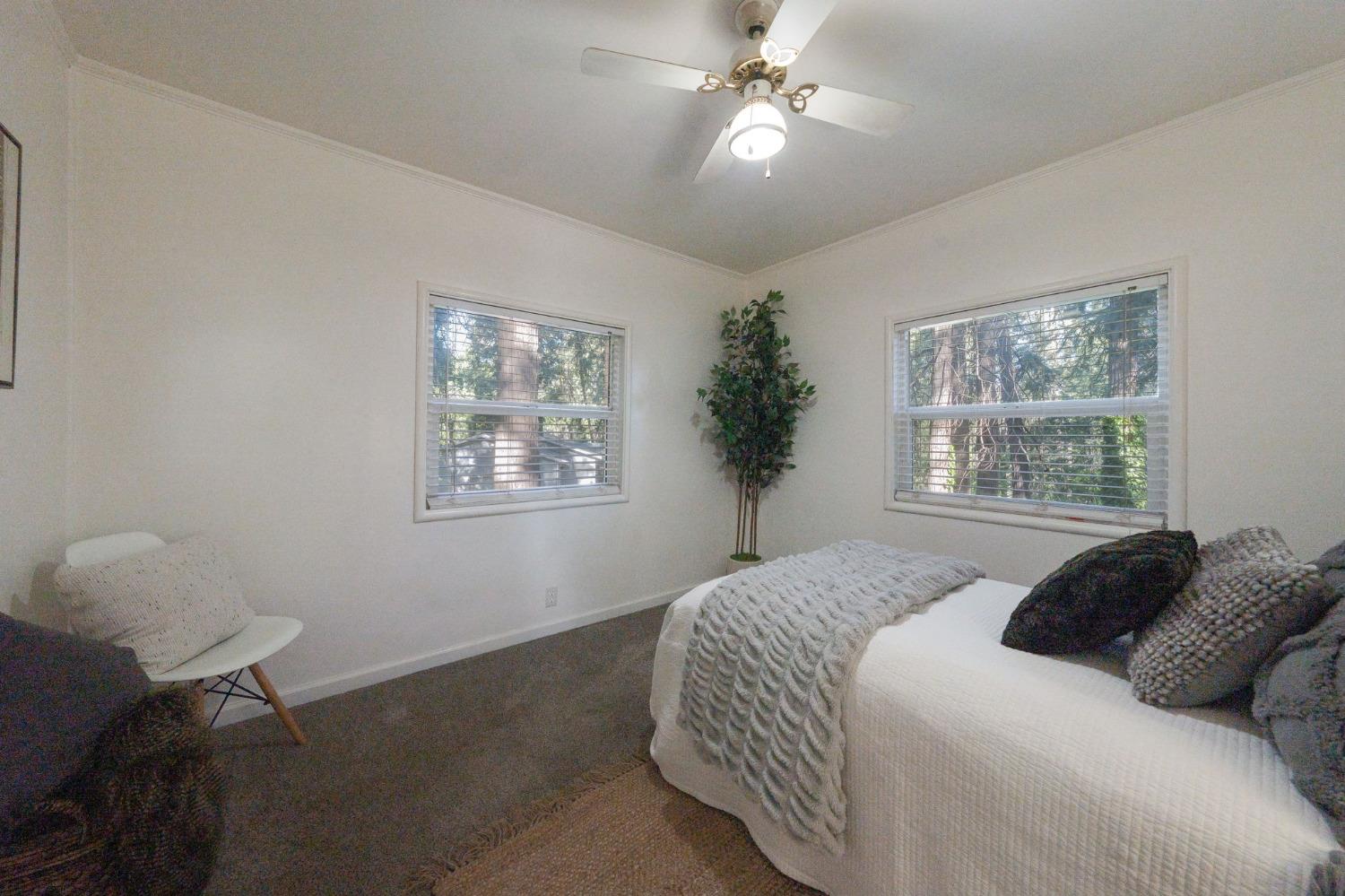 Loyal Lane, Pollock Pines, California image 17