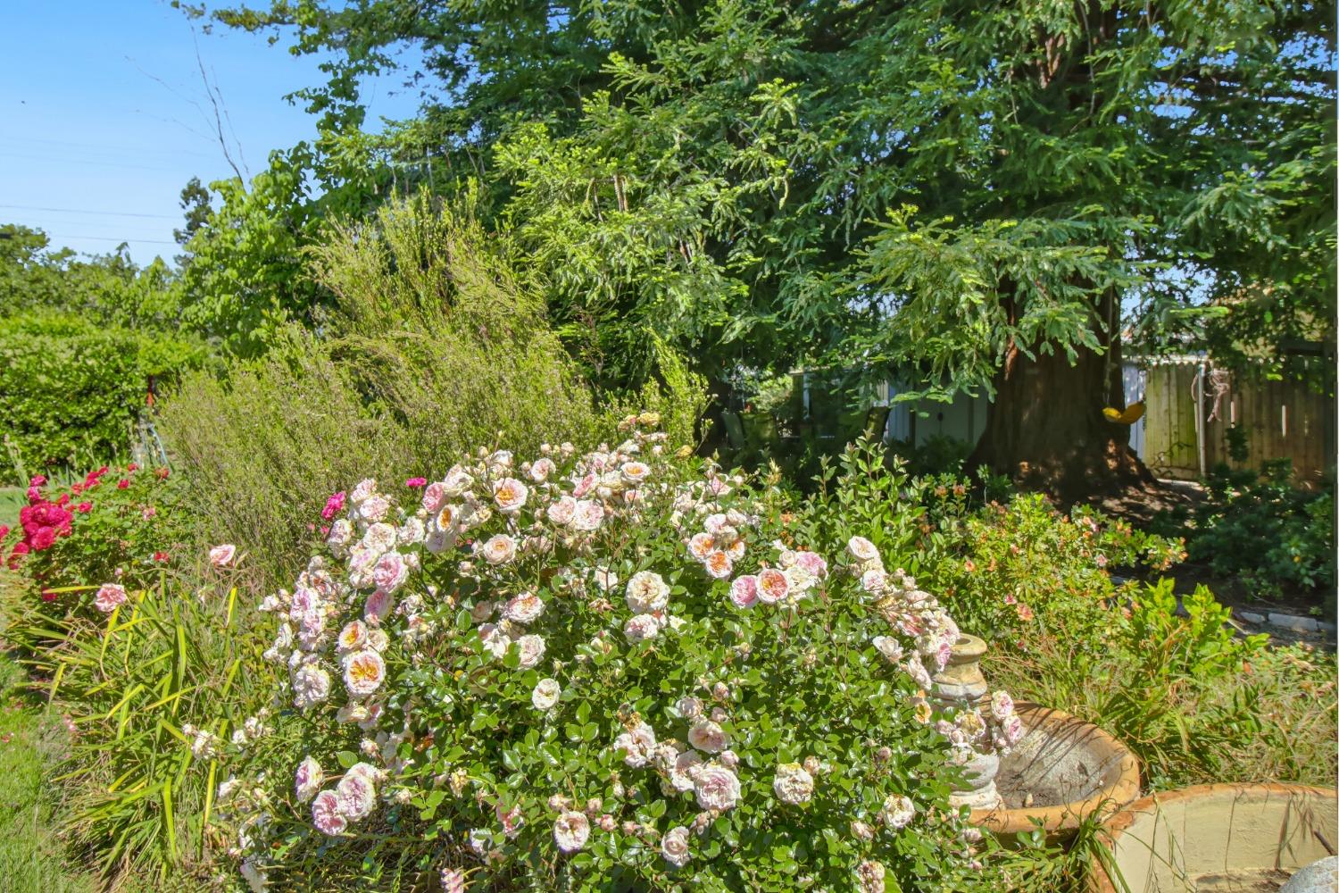 Detail Gallery Image 71 of 73 For 1837 Drew Ct, Carmichael,  CA 95608 - 4 Beds | 2 Baths
