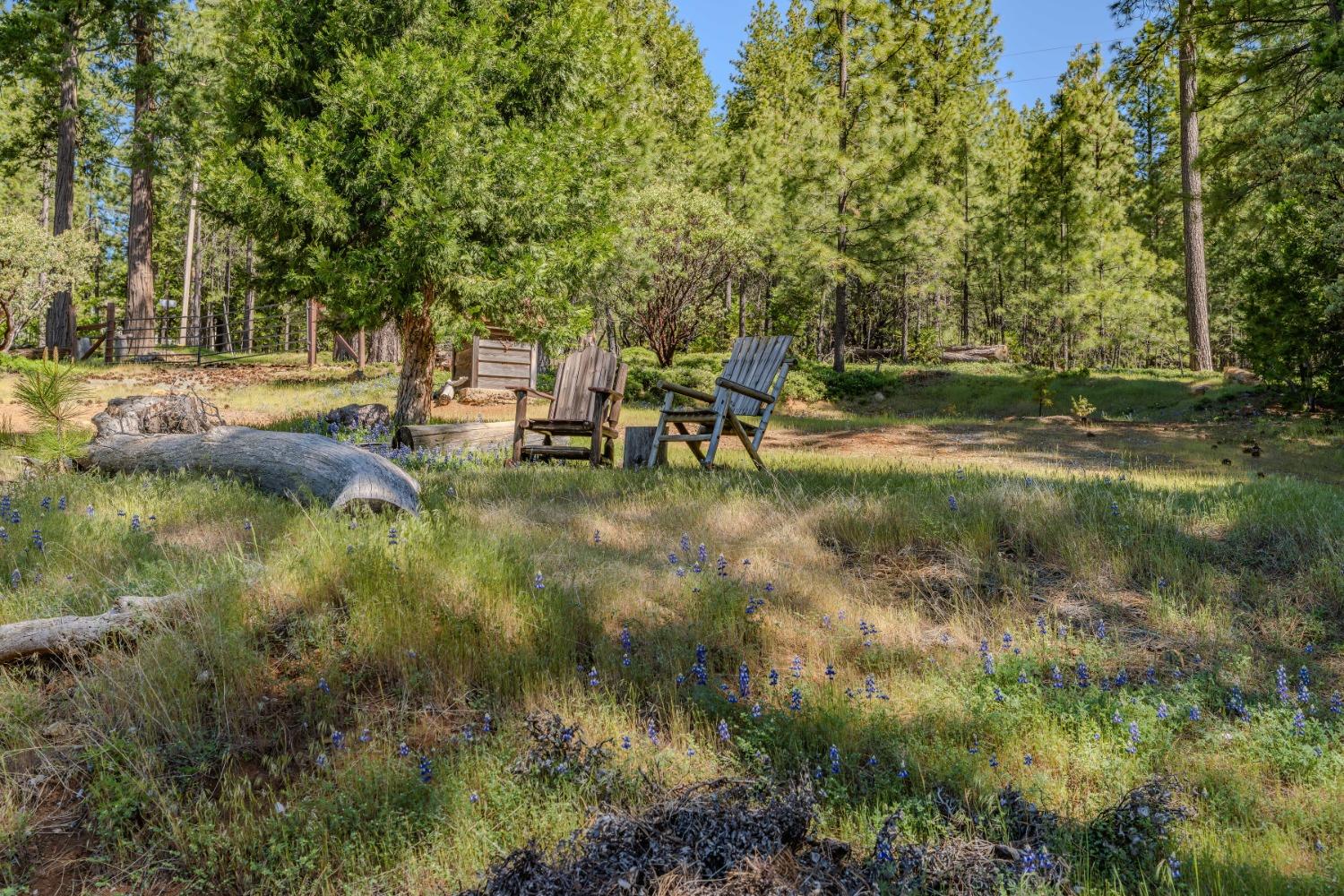 Detail Gallery Image 27 of 49 For 26340 Cedar Ave, Pioneer,  CA 95666 - – Beds | – Baths