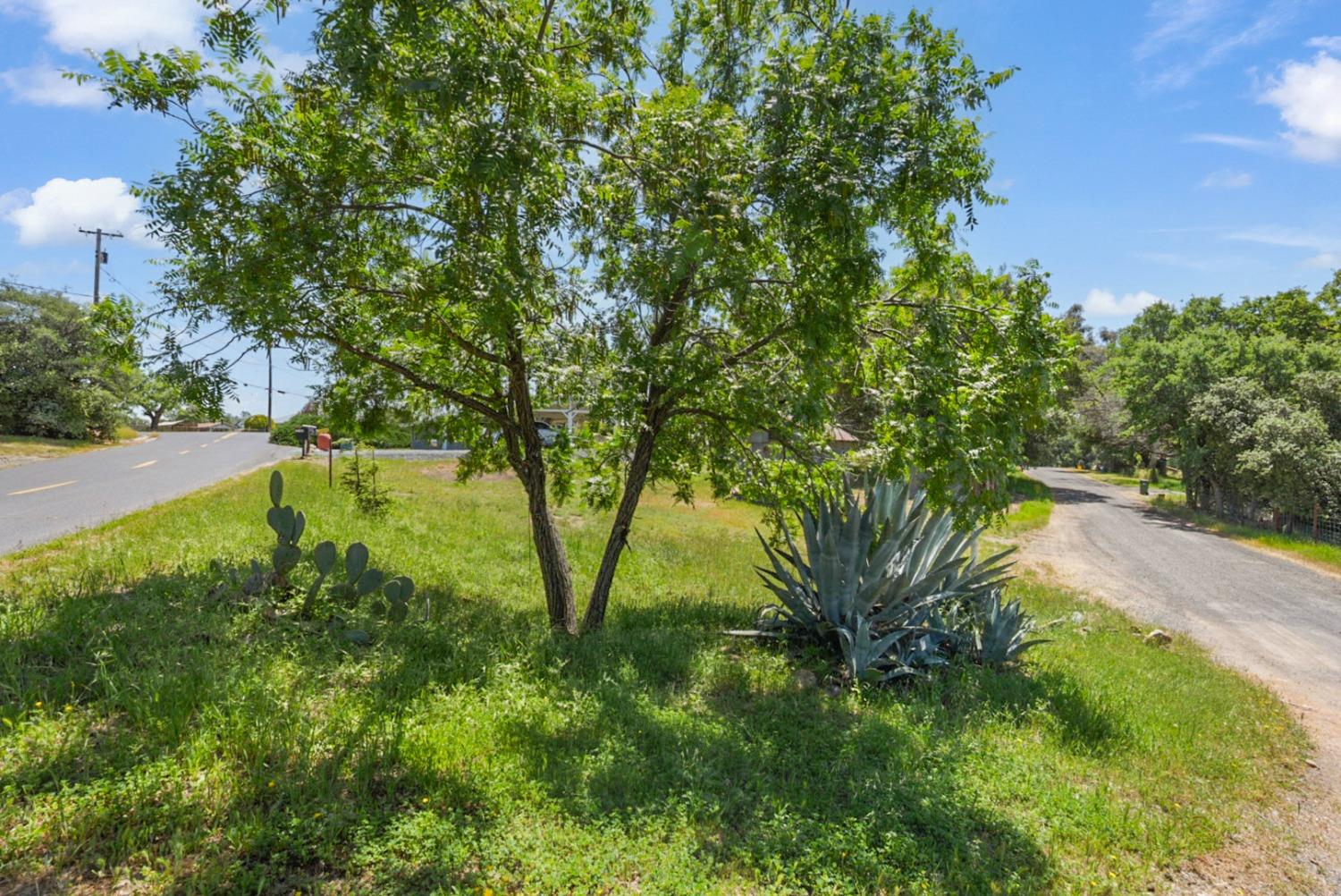 Detail Gallery Image 23 of 31 For 16310 Jacksonville Rd, Jamestown,  CA 95327 - 3 Beds | 1 Baths