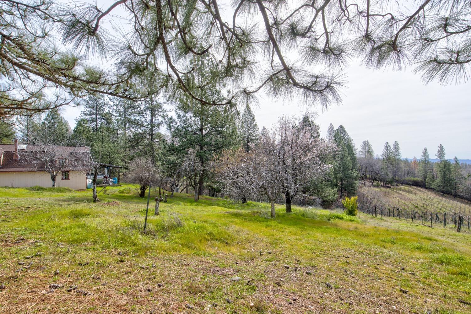 Detail Gallery Image 41 of 71 For 4771 Greenhills Rd, Placerville,  CA 95667 - – Beds | – Baths