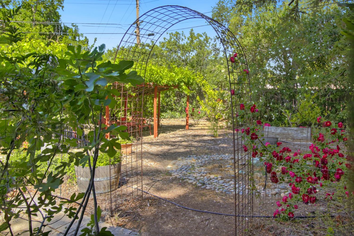Detail Gallery Image 55 of 73 For 1837 Drew Ct, Carmichael,  CA 95608 - 4 Beds | 2 Baths