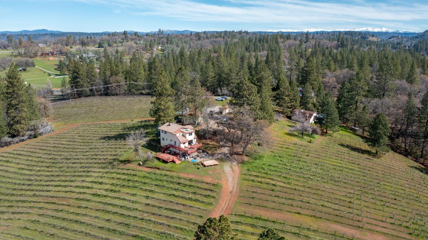 Detail Gallery Image 1 of 71 For 4771 Greenhills Rd, Placerville,  CA 95667 - – Beds | – Baths