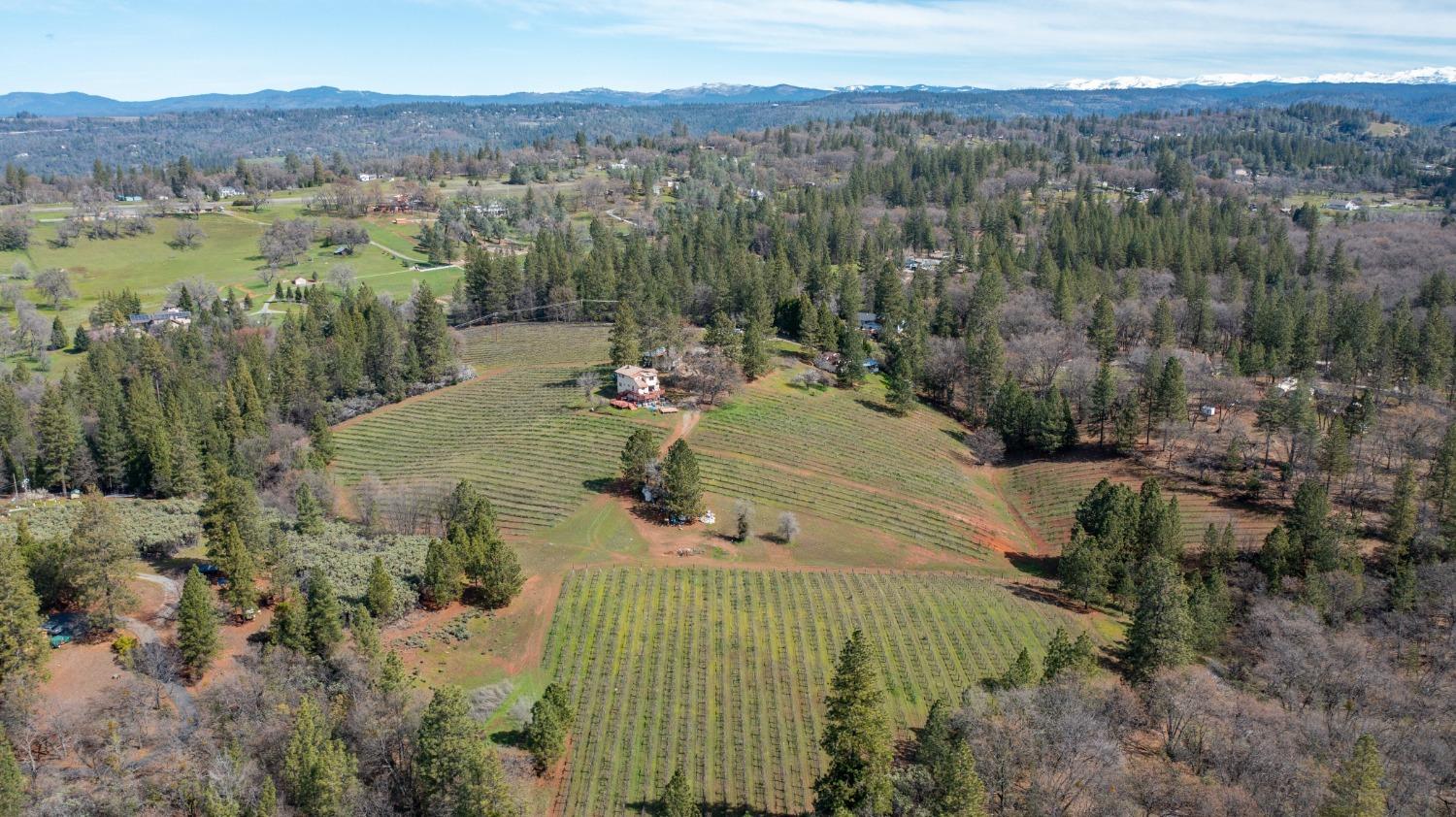 Detail Gallery Image 68 of 71 For 4771 Greenhills Rd, Placerville,  CA 95667 - – Beds | – Baths